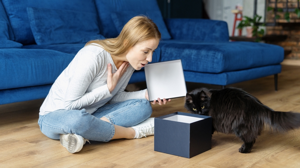 The Best Cat Gifts For Women CatTime